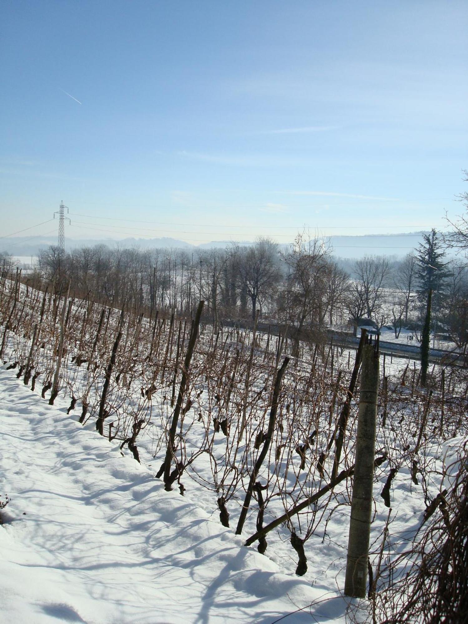 B&B Castello Di Camerletto Caselette Zewnętrze zdjęcie