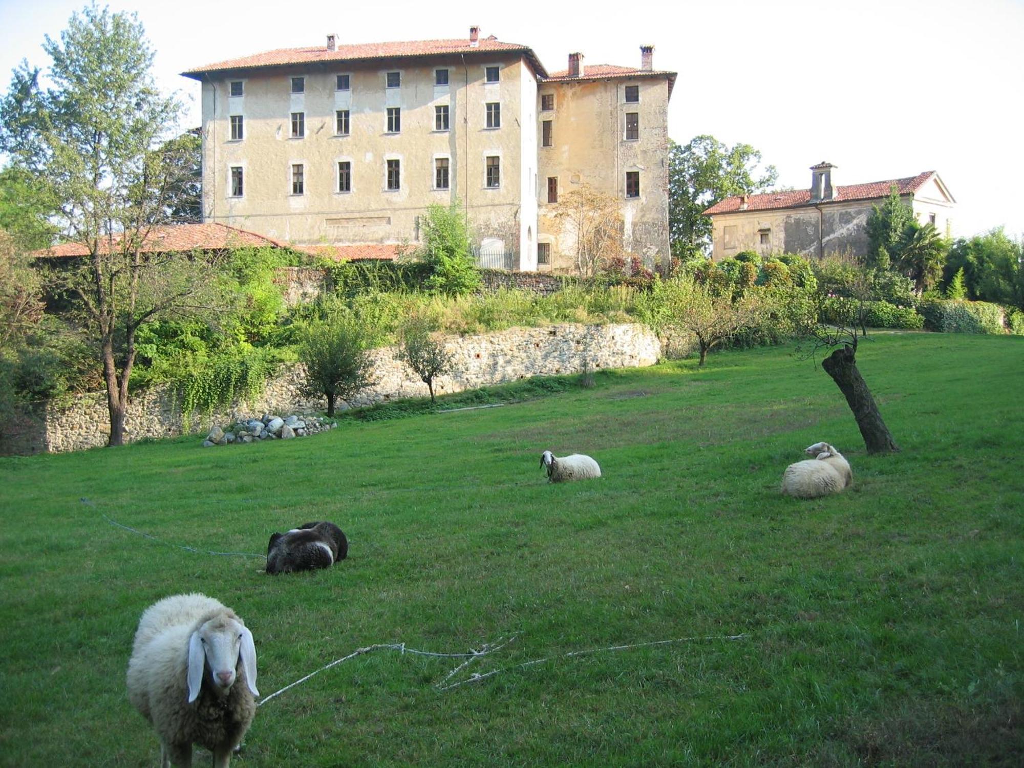 B&B Castello Di Camerletto Caselette Zewnętrze zdjęcie